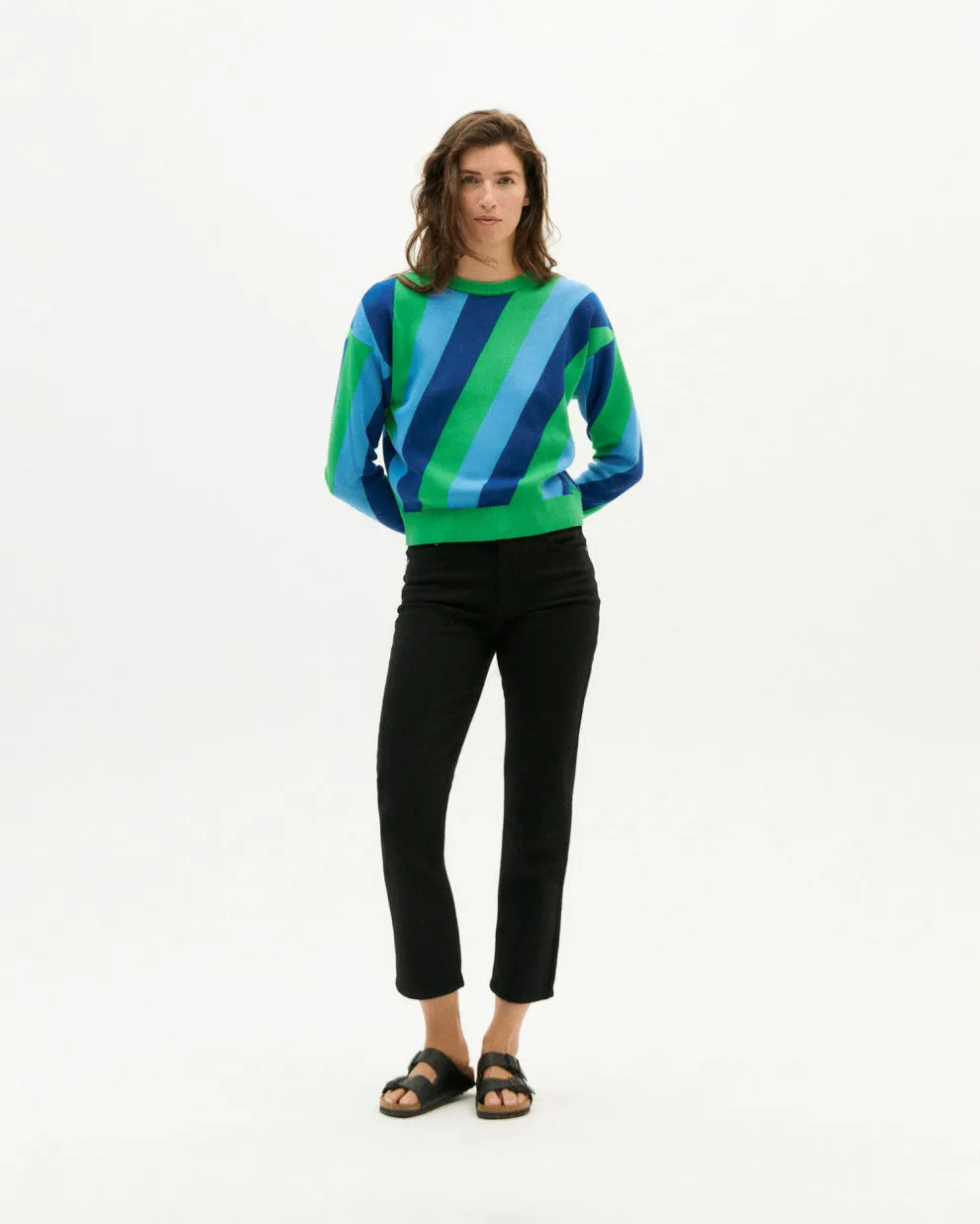 Paloma Navy Striped Sweatshirt - Thinking Mu