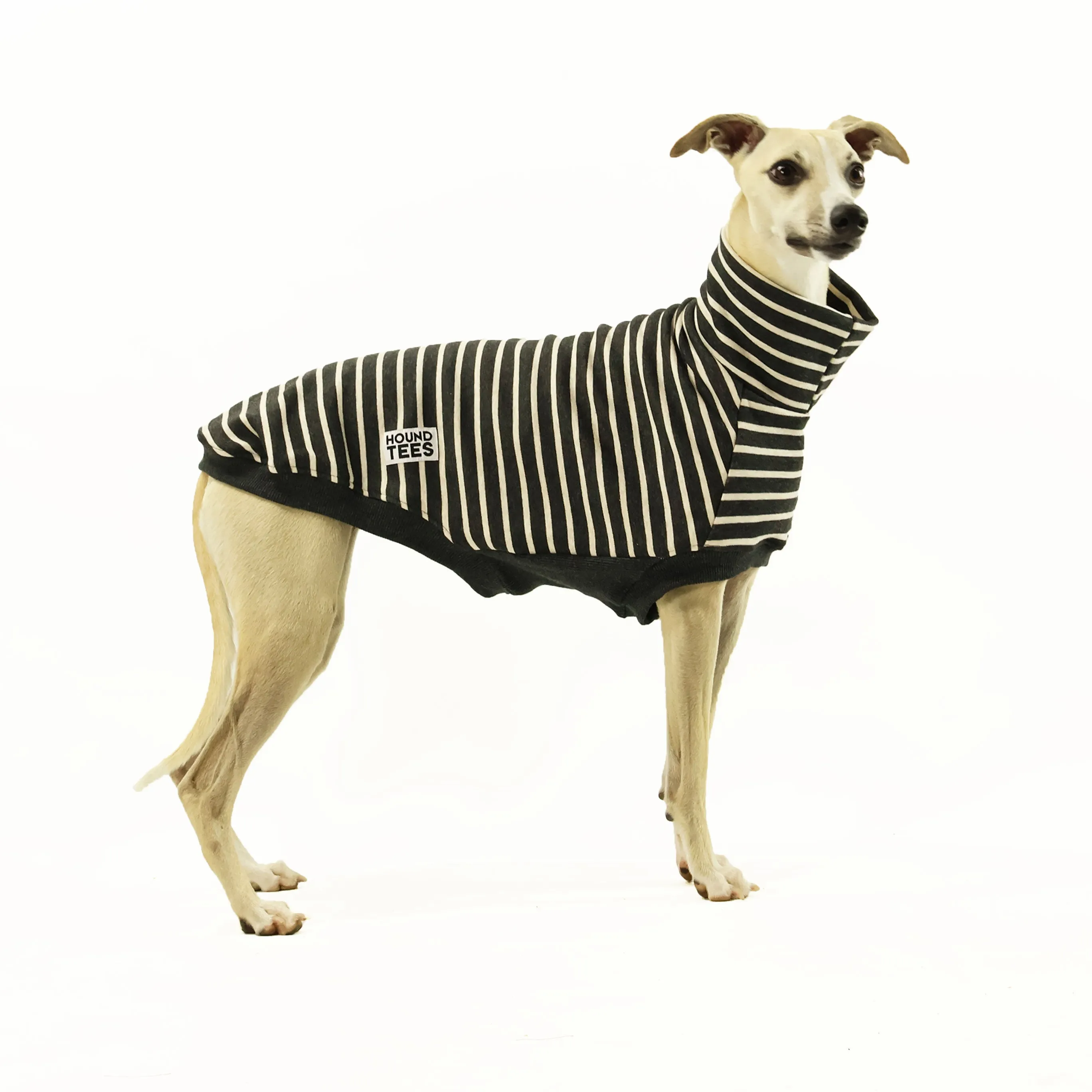 Star Gazing Whippet Sleeveless Sweater